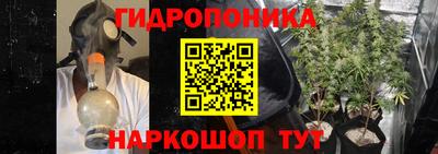 прущие крисы Новодвинск