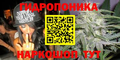прущие крисы Новодвинск